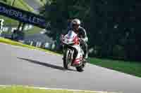 Middle Group Red Bikes